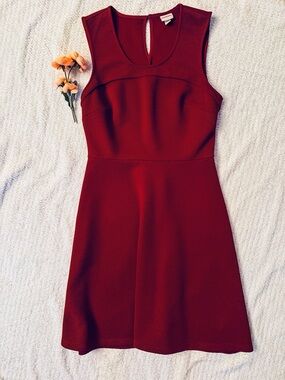 Merona Burgundy Textured Fit & Flare Skater Dress M